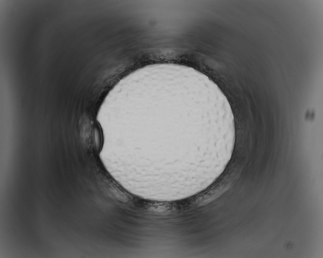 X0000099930624200806201058