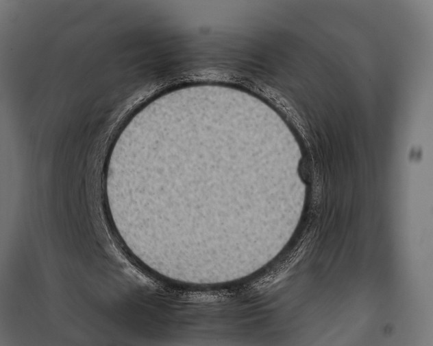 X0000099930625200806201057