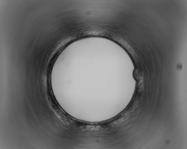 X0000099930626200806201058