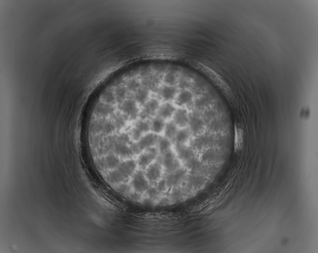 X0000099930627200806201058