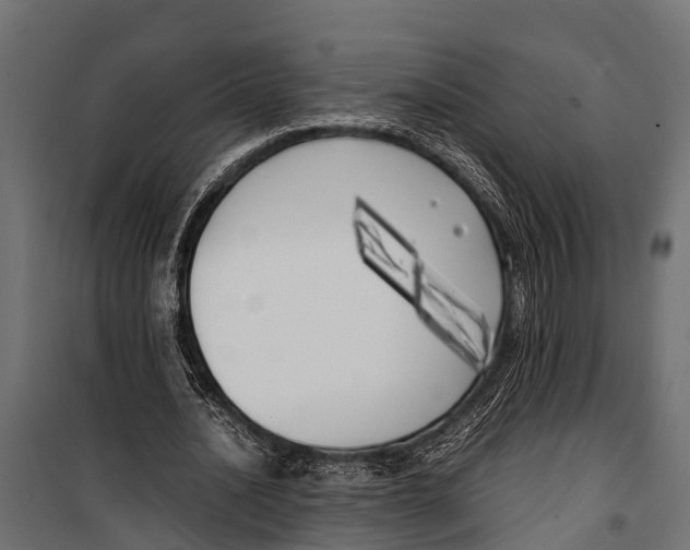 X0000099930628200806201058