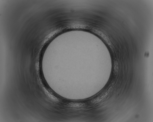 X0000099930629200806201058