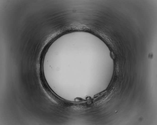 X0000099930630200806201058