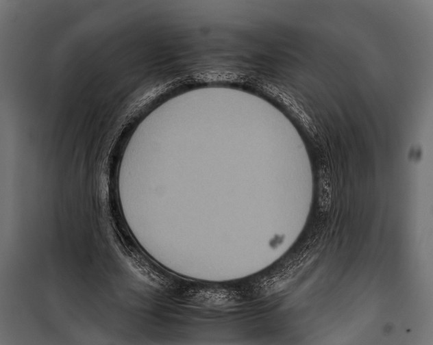 X0000099930631200806201058