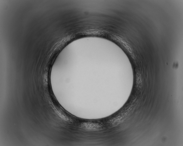 X0000099930633200806201058