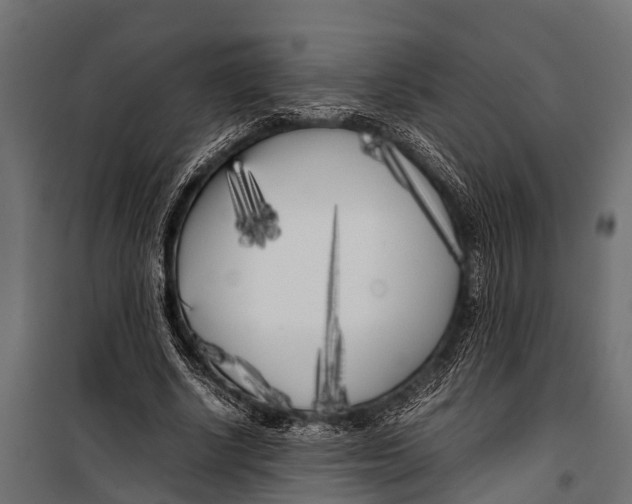 X0000099930634200806201058