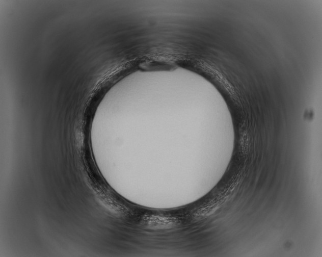 X0000099930635200806201058