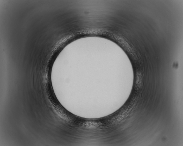 X0000099930636200806201058