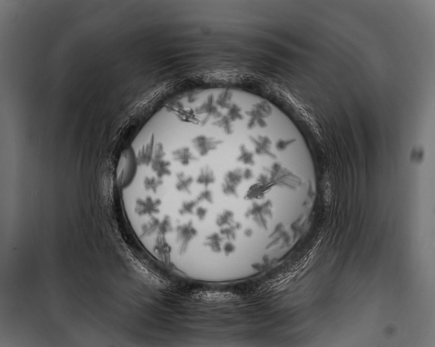 X0000099930637200806201058