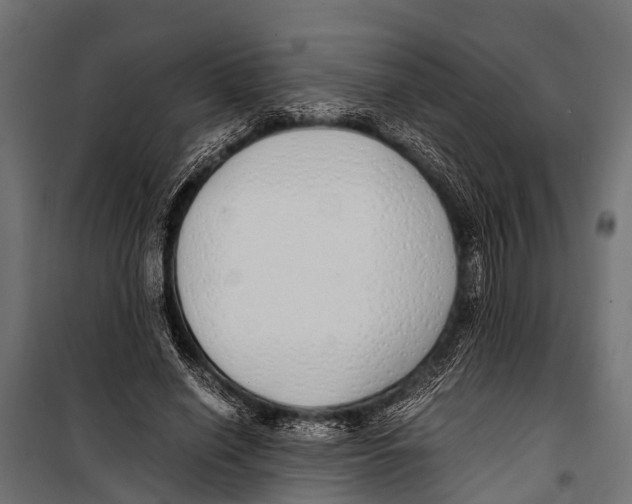 X0000099930638200806201058