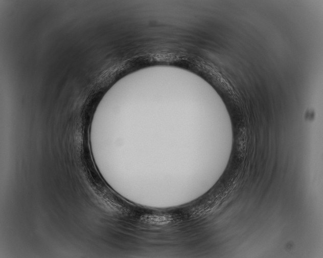 X0000099930639200806201058