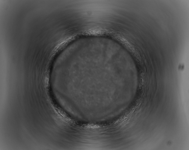 X0000099930640200806201058