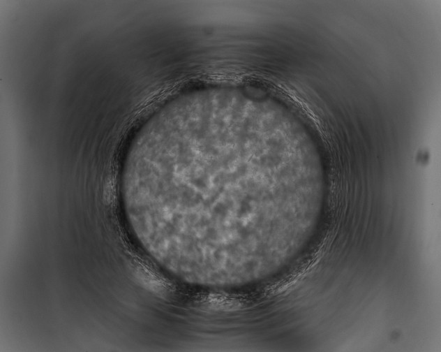 X0000099930641200806201058