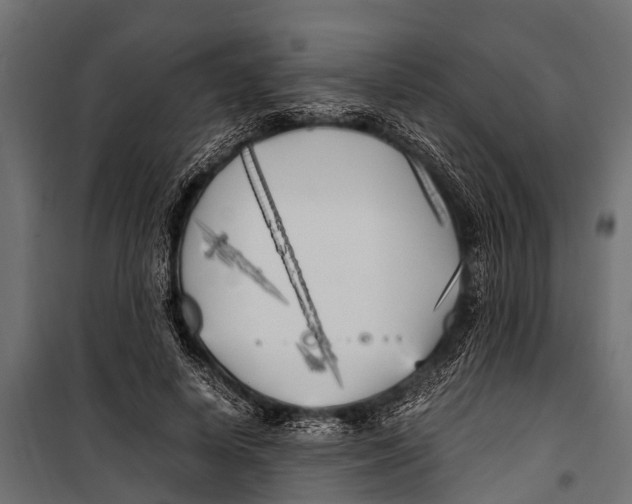 X0000099930642200806201058