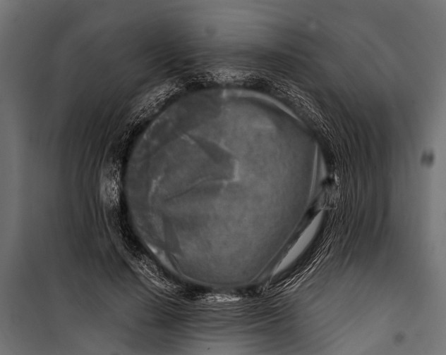 X0000099930644200806201058