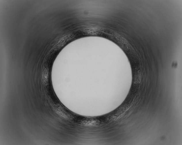 X0000099930646200806201058