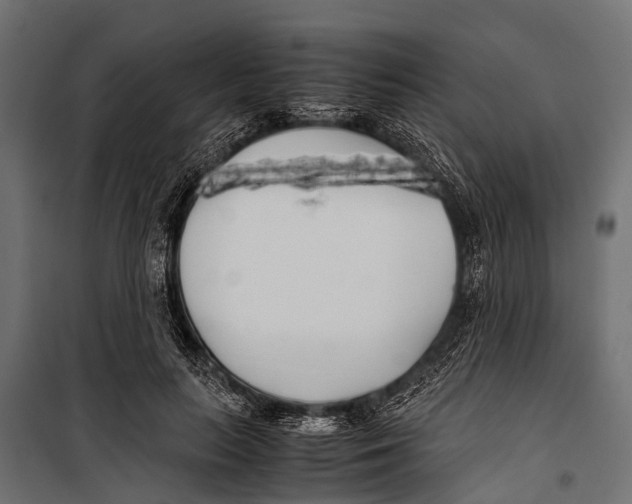 X0000099930647200806201058