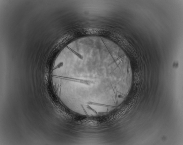 X0000099930648200806201058