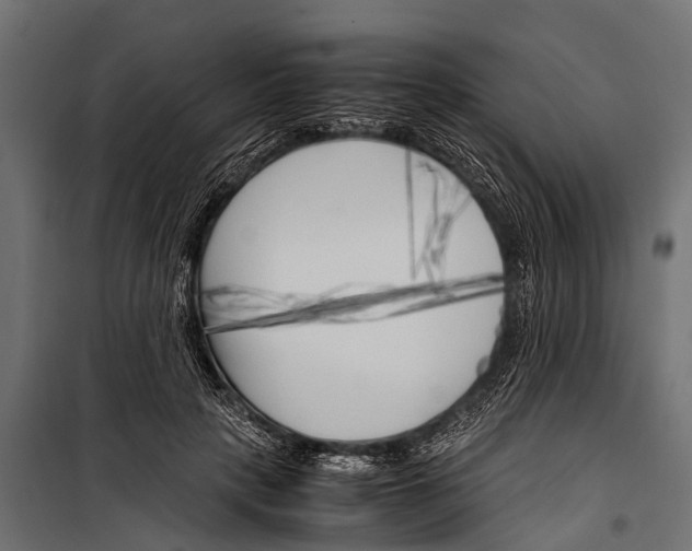 X0000099930649200806201058