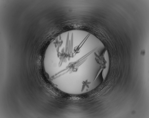 X0000099930650200806201058