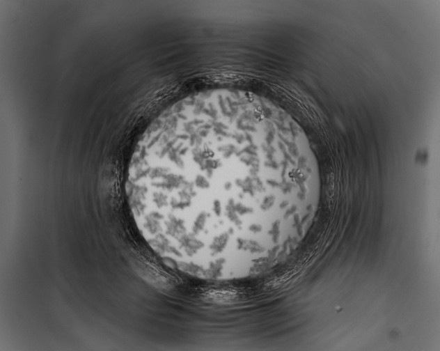 X0000099930653200806201058