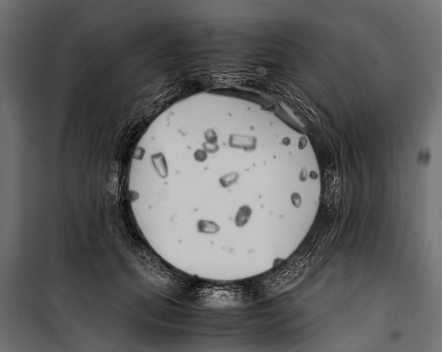 X0000099930655200806201058