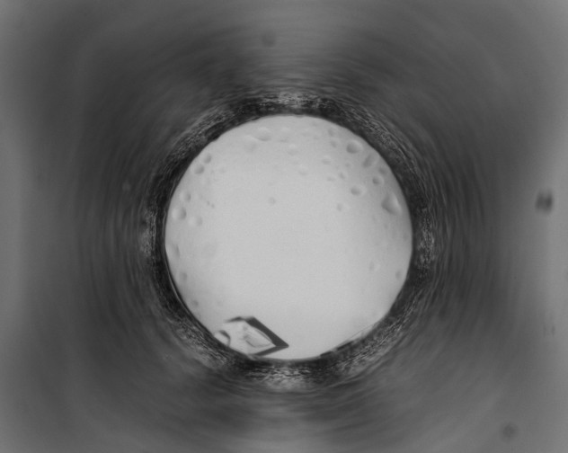 X0000099930656200806201058