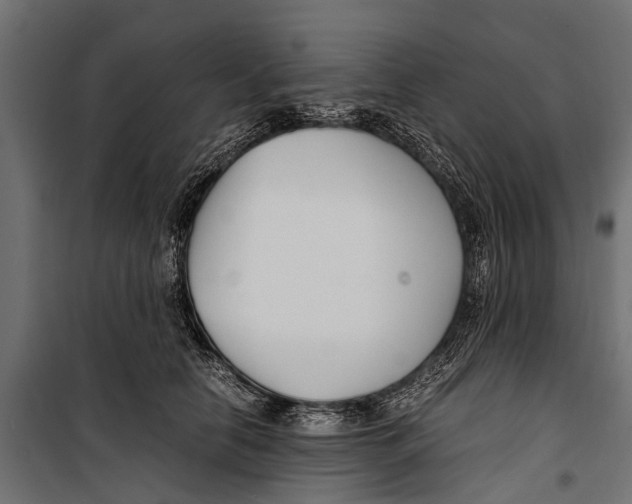 X0000099930658200806201058