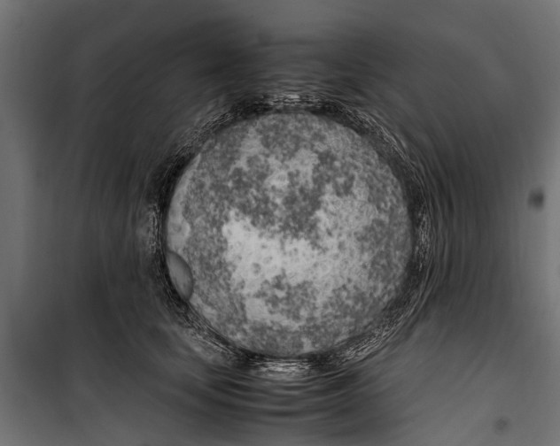 X0000099930659200806201058