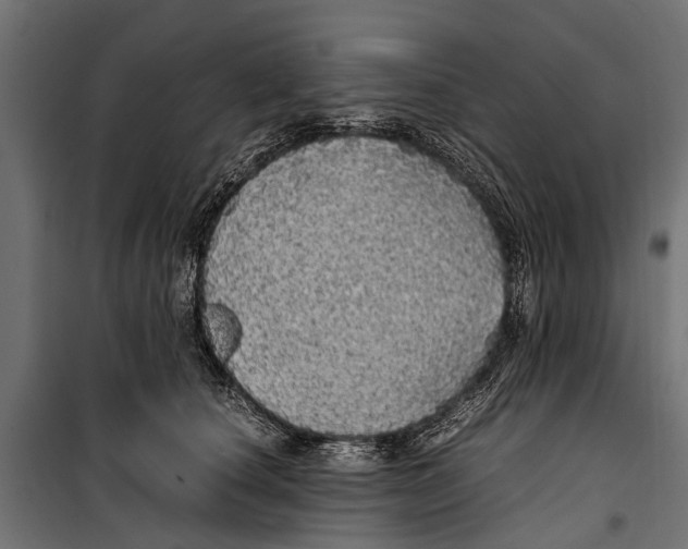 X0000099930660200806201058