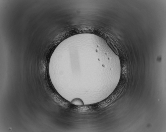 X0000099930662200806201058