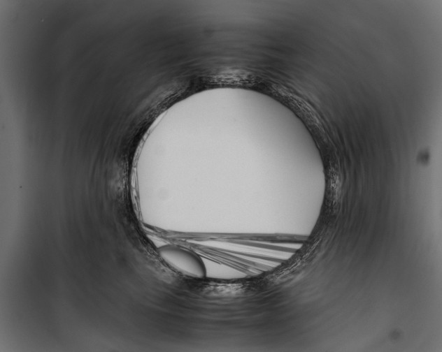 X0000099930665200806201058