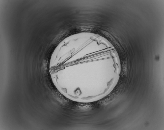 X0000099930667200806201058