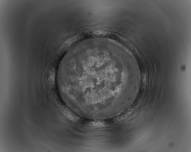 X0000099930668200806201058