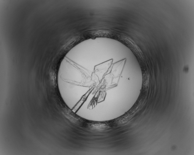 X0000099930669200806201058