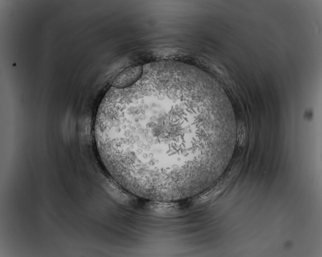 X0000099930670200806201058