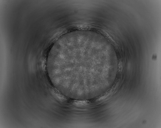 X0000099930671200806201058