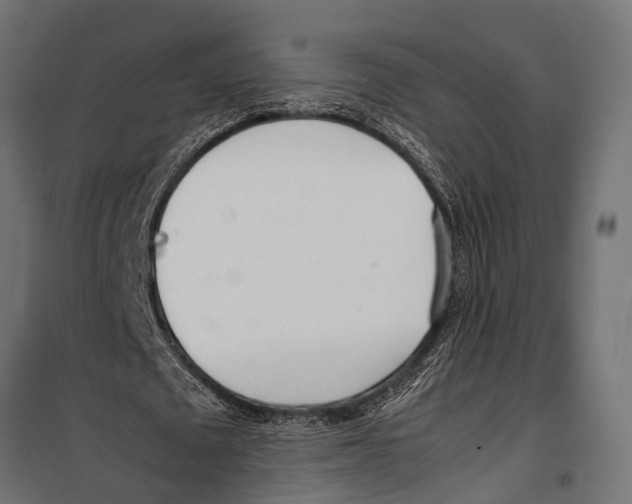 X0000099930673200806201057