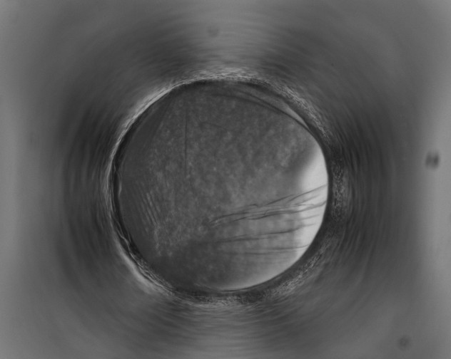 X0000099930674200806201057