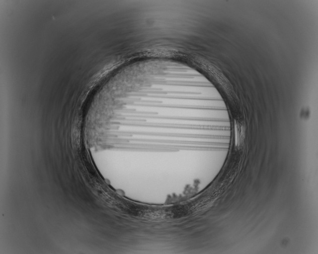 X0000099930675200806201057