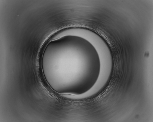 X0000099930676200806201057