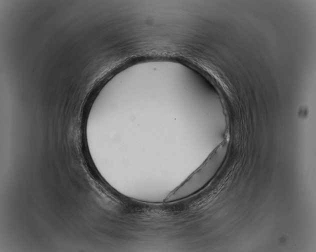 X0000099930677200806201057