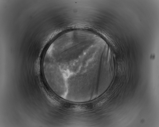 X0000099930678200806201057