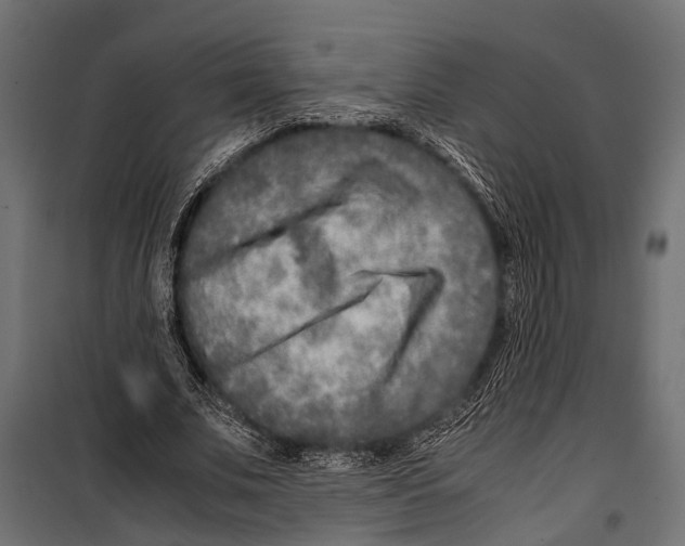 X0000099930679200806201057