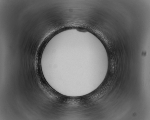 X0000099930680200806201057