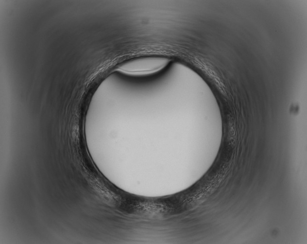 X0000099930681200806201057