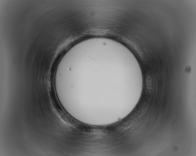 X0000099930682200806201057