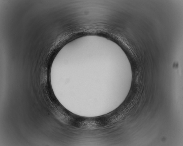 X0000099930685200806201057