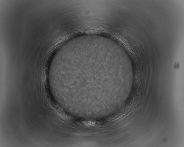 X0000099930687200806201057