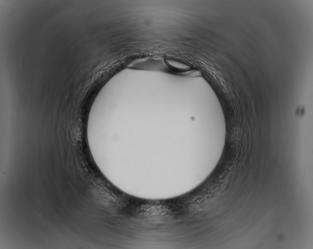 X0000099930689200806201057